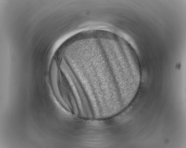 X0000091351520200709071228