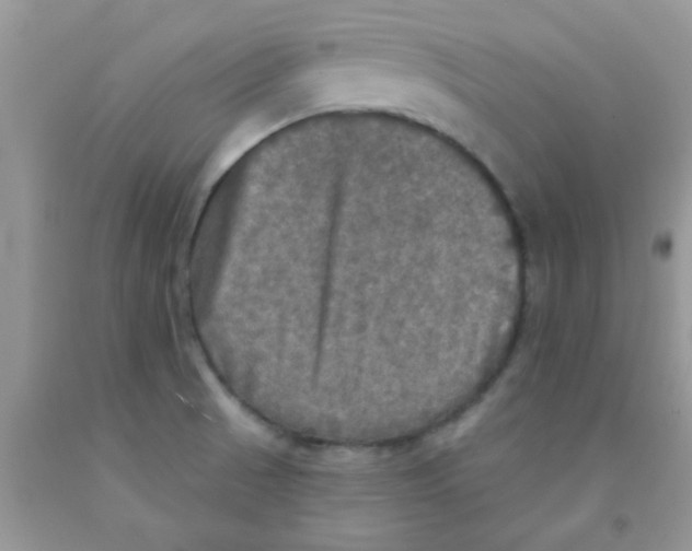 X0000091351521200709071228