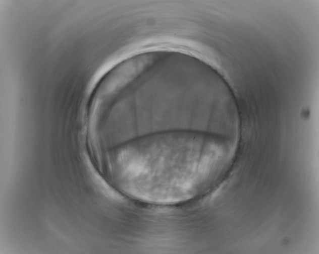 X0000091351522200709071228