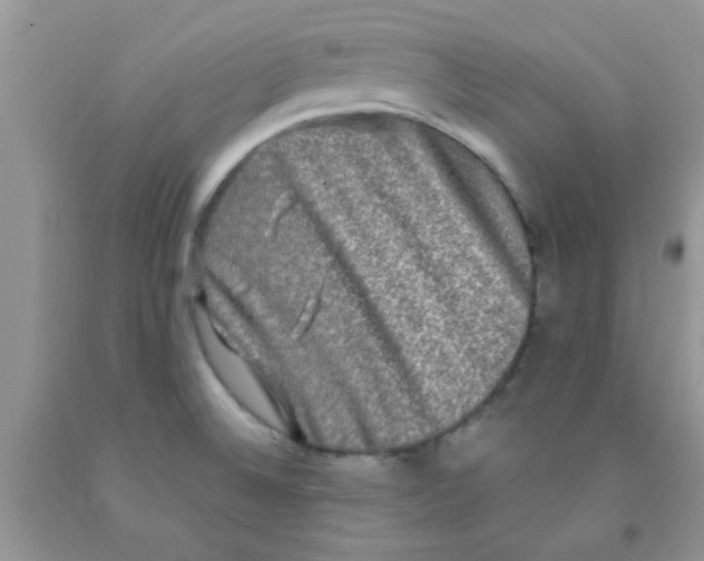 X0000091351524200709071228