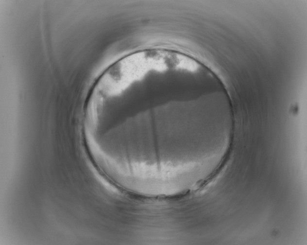 X0000091351525200709071228