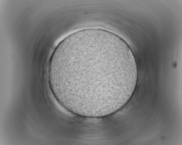 X0000091351526200709071228