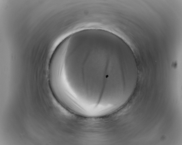 X0000091351527200709071228
