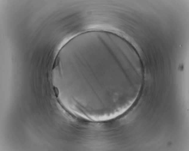 X0000091351529200709071228