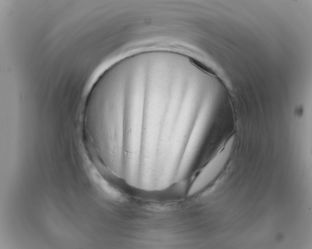 X0000091351530200709071228
