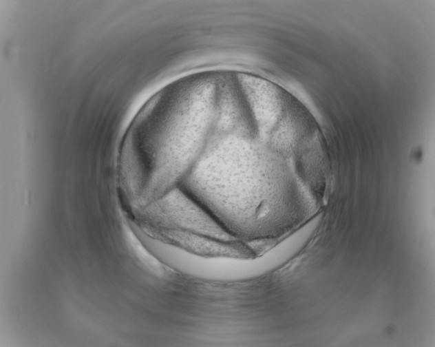 X0000091351532200709071228