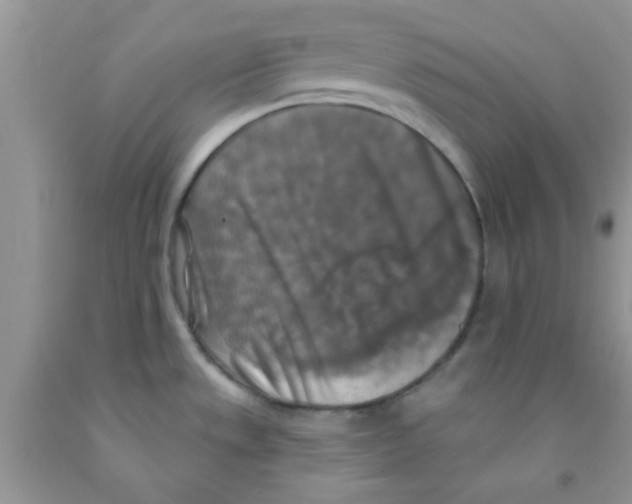 X0000091351533200709071228
