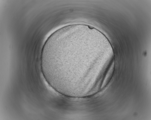 X0000091351534200709071228