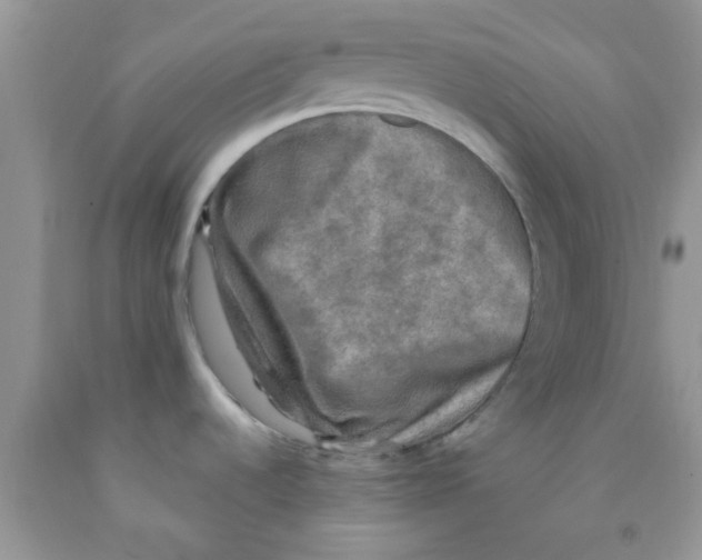 X0000091351536200709071228