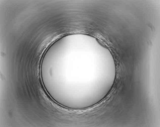 X0000091360002200708101103