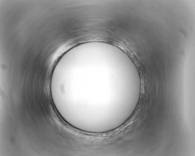X0000091360004200708101103