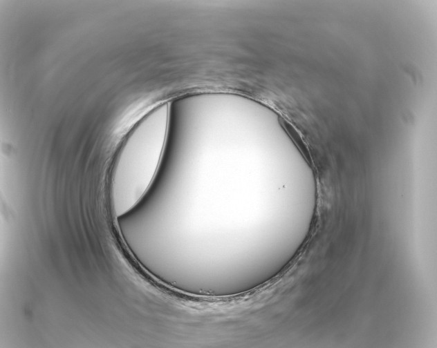 X0000091360005200708101103