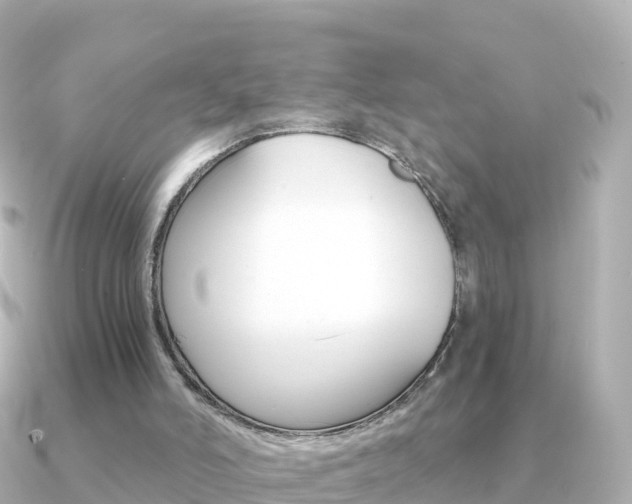 X0000091360006200708101103