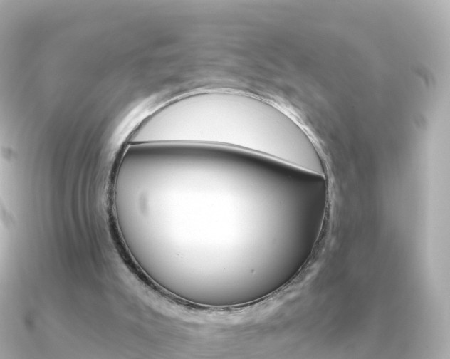 X0000091360007200708101103