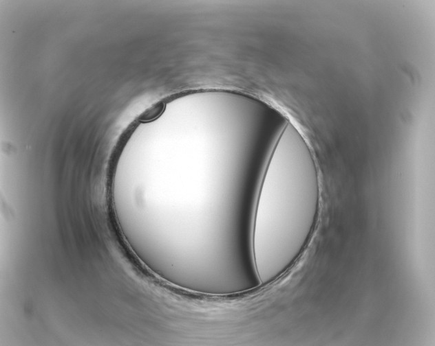 X0000091360008200708101103