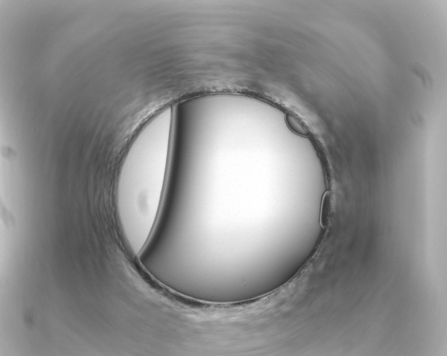 X0000091360009200708101103