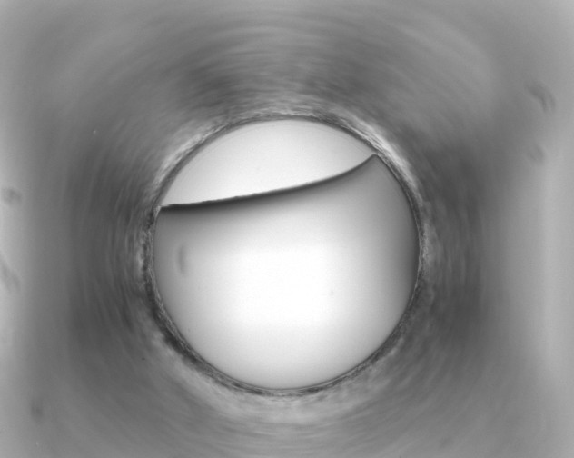 X0000091360010200708101103