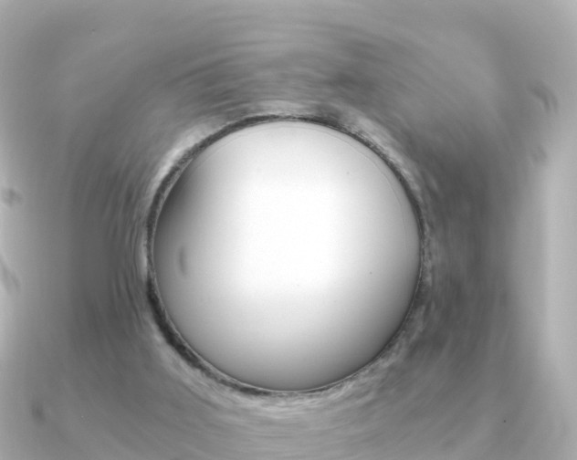 X0000091360011200708101103