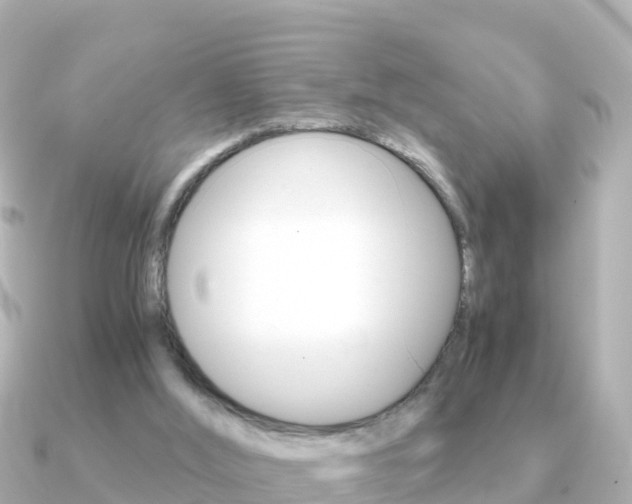 X0000091360012200708101103