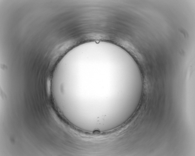 X0000091360014200708101103