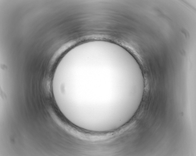 X0000091360016200708101103