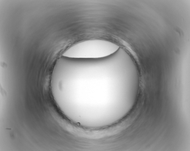 X0000091360018200708101103