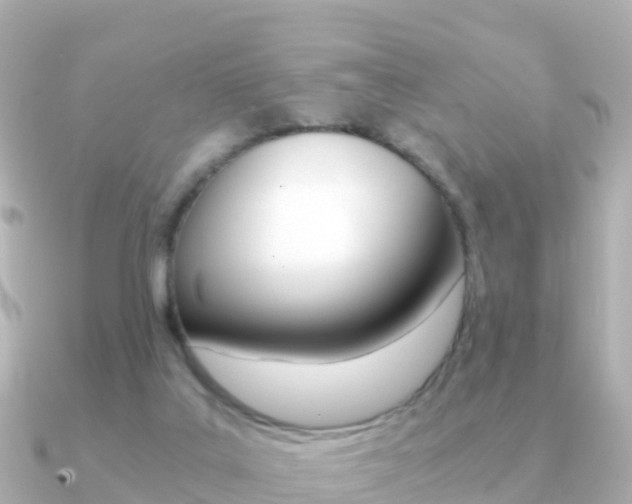 X0000091360019200708101103