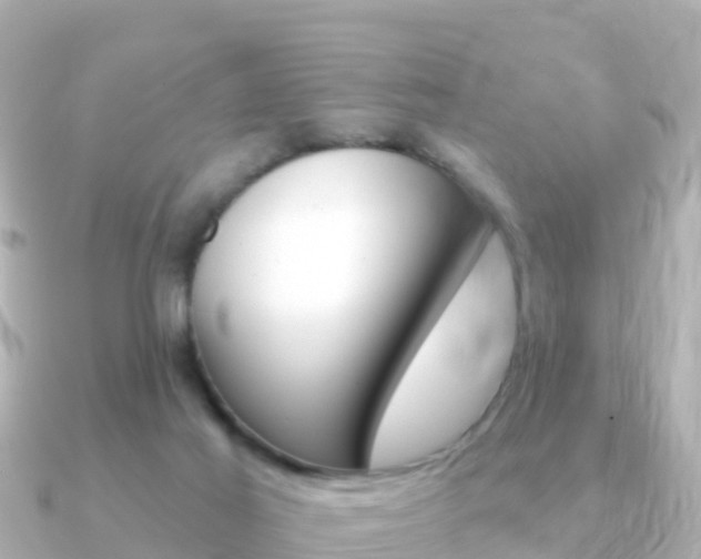 X0000091360021200708101103