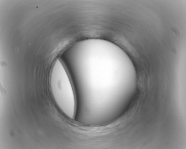 X0000091360023200708101102