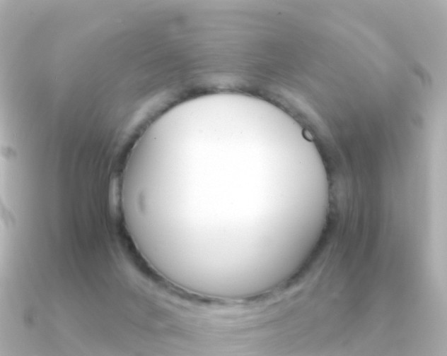 X0000091360024200708101102