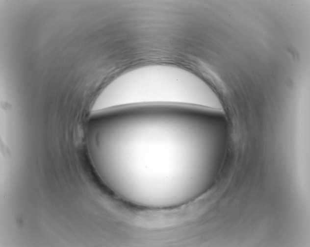 X0000091360025200708101102