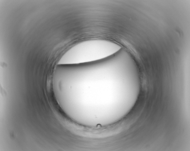 X0000091360026200708101102