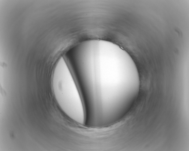 X0000091360027200708101102