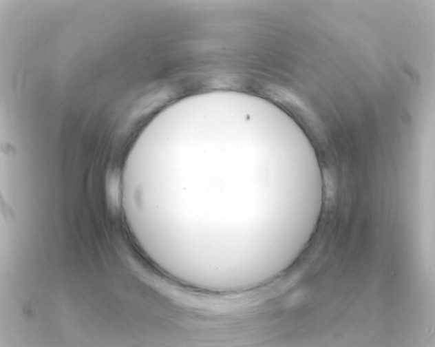 X0000091360028200708101102