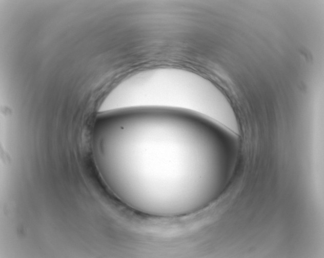 X0000091360029200708101102