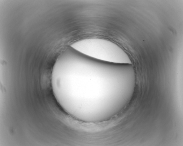 X0000091360030200708101102