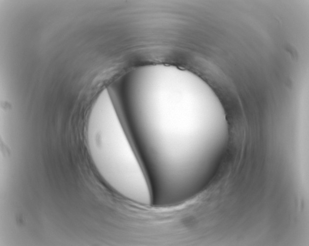 X0000091360031200708101102