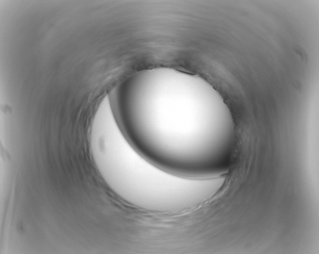 X0000091360033200708101102