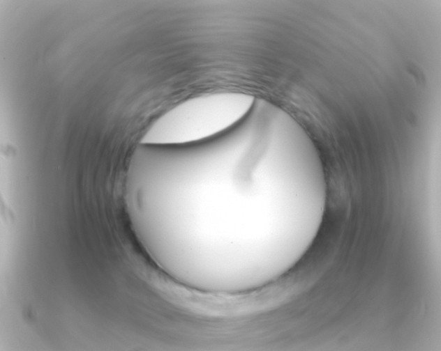 X0000091360034200708101102
