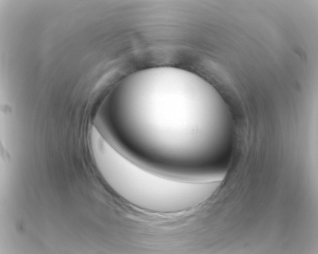 X0000091360035200708101102