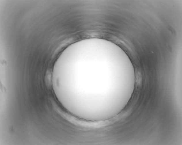 X0000091360036200708101102