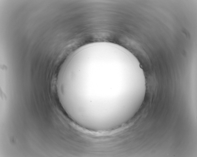 X0000091360038200708101102