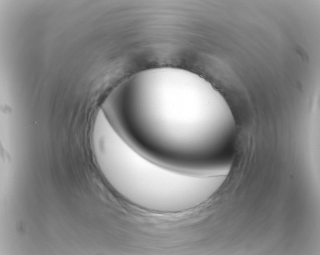 X0000091360039200708101102