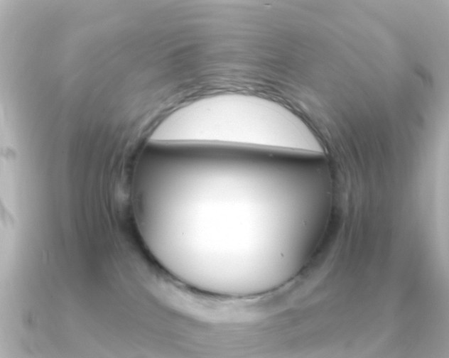 X0000091360040200708101102