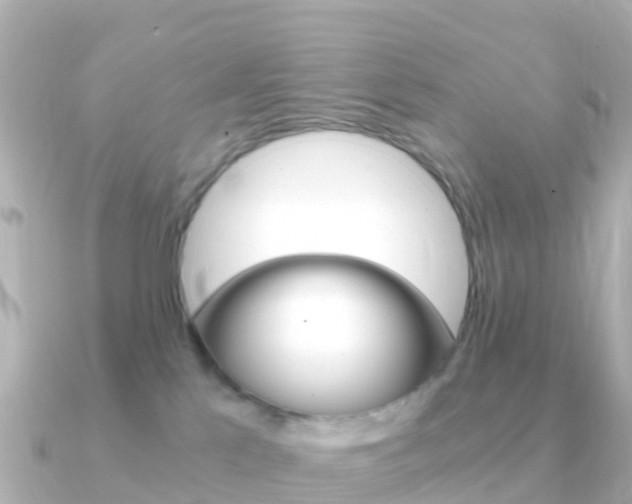 X0000091360041200708101102