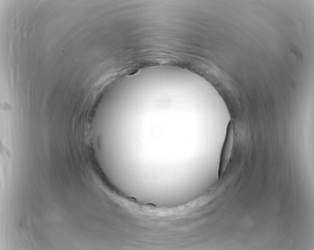 X0000091360043200708101102