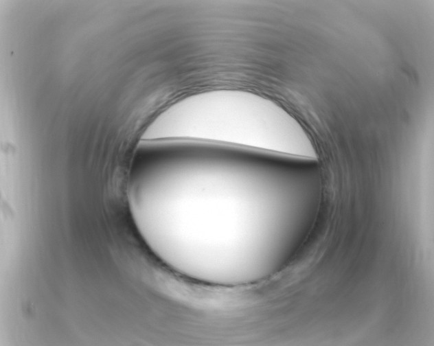 X0000091360044200708101102