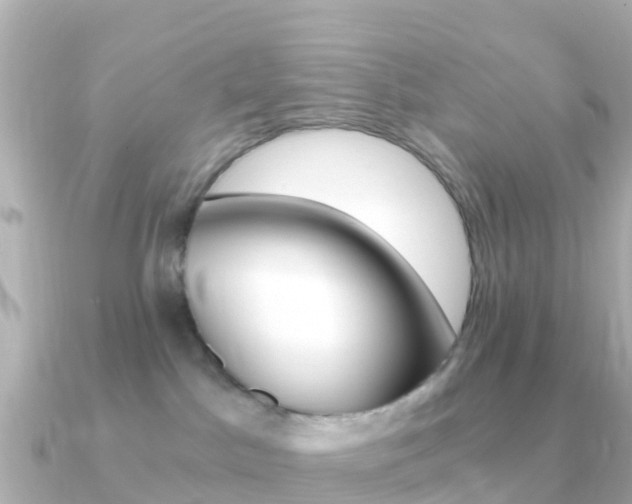 X0000091360045200708101102