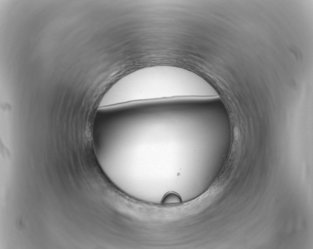 X0000091360048200708101102