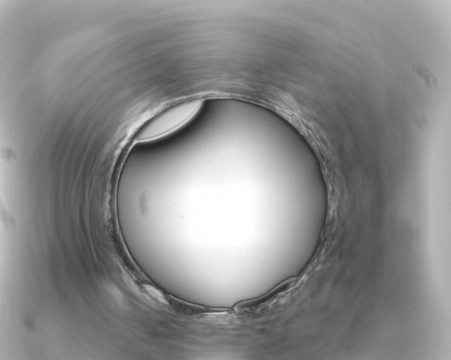 X0000091360050200708101102